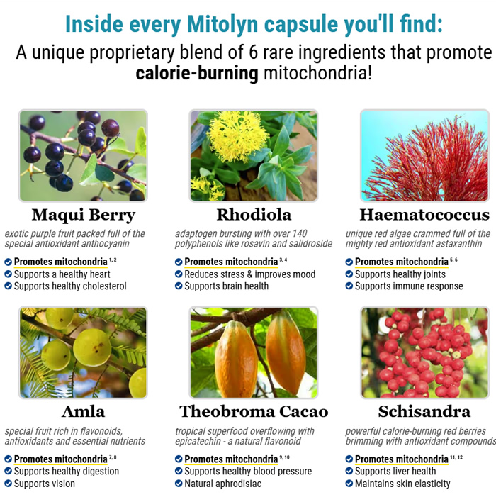 Mitolyn Weight Loss Reviews 2025 – Ingredients, Side Effects & Scam Exposed
