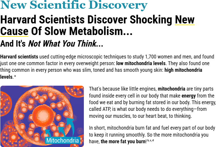 Mitolyn Weight Loss Reviews 2025 – Ingredients, Side Effects & Scam Exposed